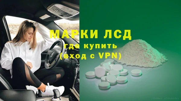 крисы Зерноград