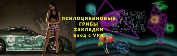 крисы Зерноград