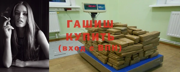 сатива Инта