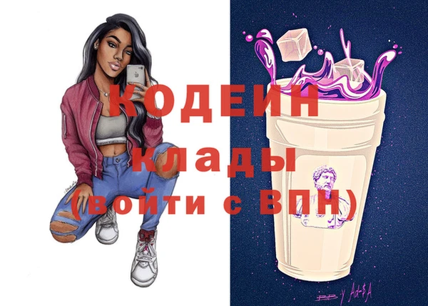 сатива Инта