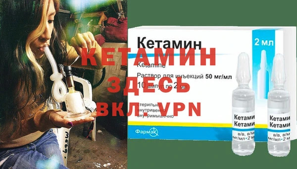 сатива Инта